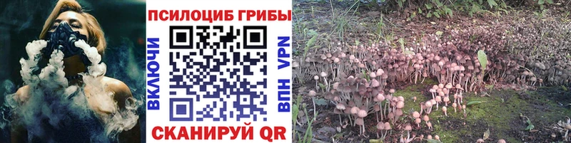 Галлюциногенные грибы Magic Shrooms  Коряжма 
